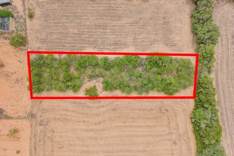 Land in Porreres, Mallorca — photo 10