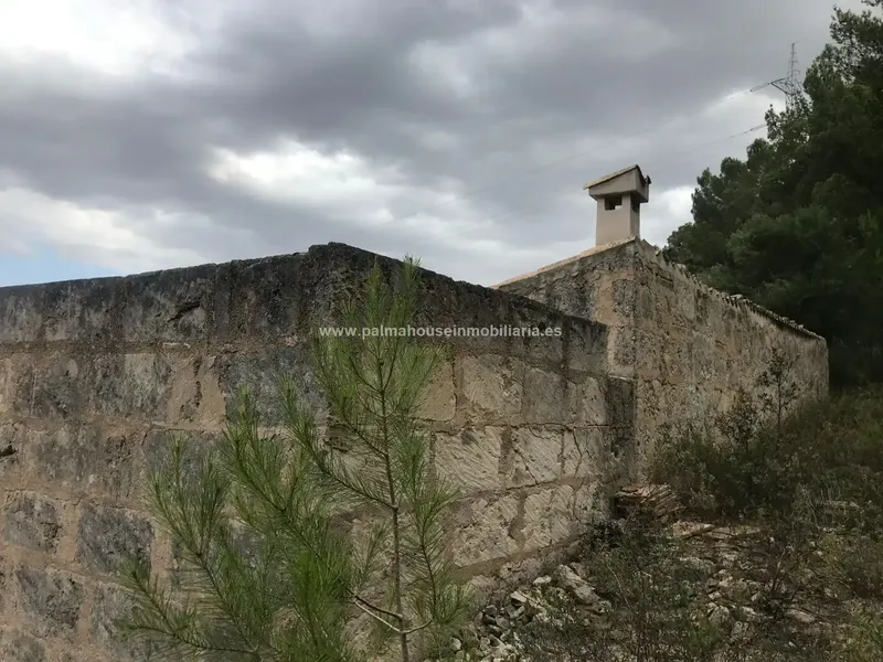 Old house surrounded by nature and with many possibilities!! Palma House Inmobiliaria offers you this spectacular rustic plot of about — photo 6