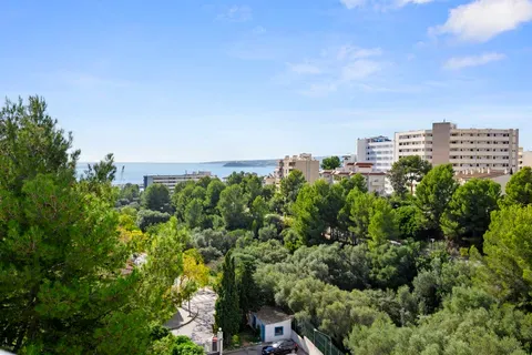 Apartment in Portals Nous, Mallorca — photo 1