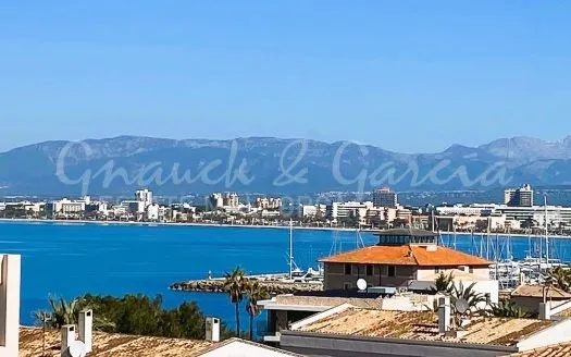 villa in Palma — photo 1