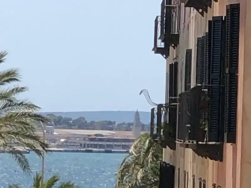 Brand new in La Calatrava! Exclusive rental in the old town of Palma — photo 6
