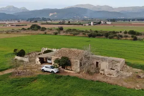 Land in Sa Pobla, Mallorca — photo 12