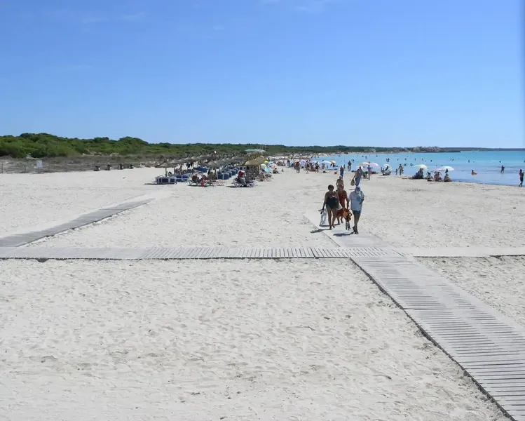 In an idyllic setting in the heart of the beautiful southern region of Mallorca, just 2.5 km from the magnificent Es Trenc beach and the prestigious — photo 11