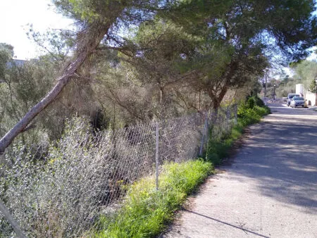 Building Site - Santanyí (Cala Llombards), Built Surface 200m², Plot Surface 680m² — photo 3