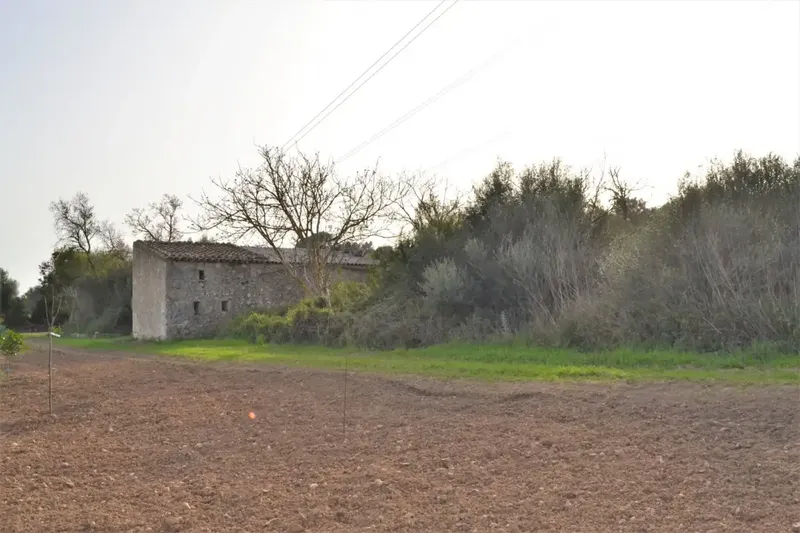 Fantastic estate of 23270 m2 located in General Rustic Land, for sale in Muro with incredible views of the Bay of Alcudia — photo 7