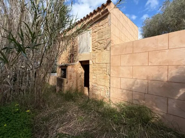 Rustic finca with cottage in Ses Salines — photo 1
