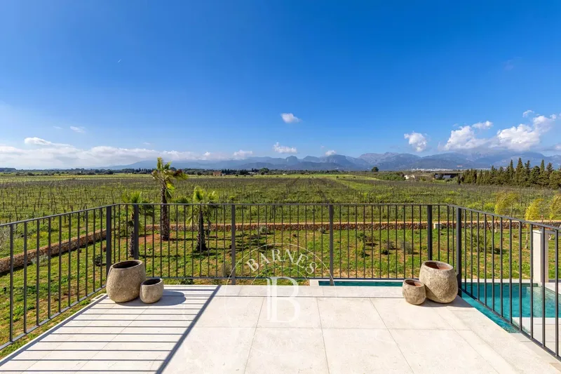 Contemporary Countryside Finca with Vineyard Views Near Sencelles — photo 4