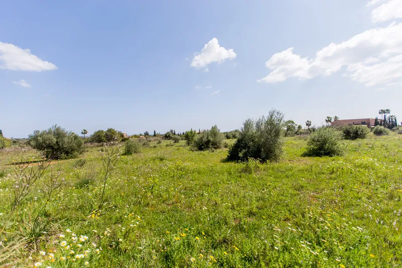 Plot with sea views 10 minutes from Porto Cristo — photo 4
