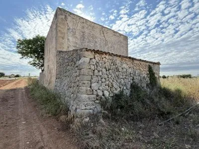 Rustic property - Manacor (outskirts), built surface 85 m², plot surface 28,442 m², 1 room, 1 bathroom — photo 9