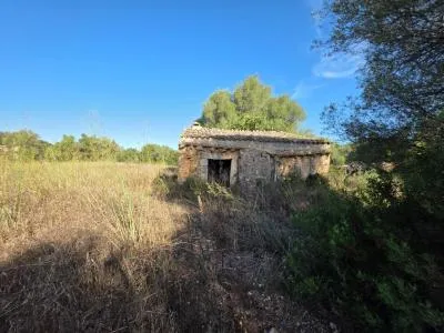 Rustic property in Costitx with 33 m² built area and 13,926 m² plot — photo 10