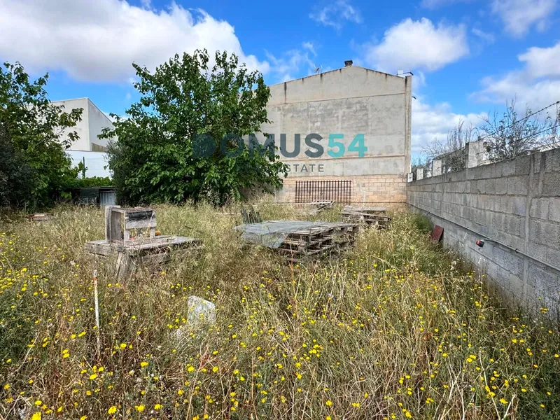 plot in Sa Pobla — photo 6