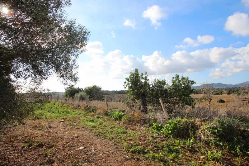 V582 – Renovation-required finca with sea views near Cala Murada — photo 4