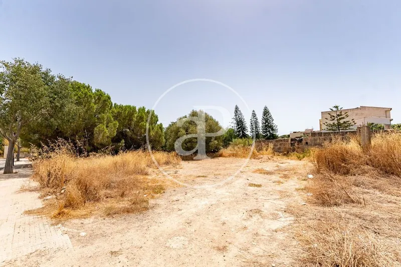 Land in Binissalem, Province of Balearic Islands — photo 3
