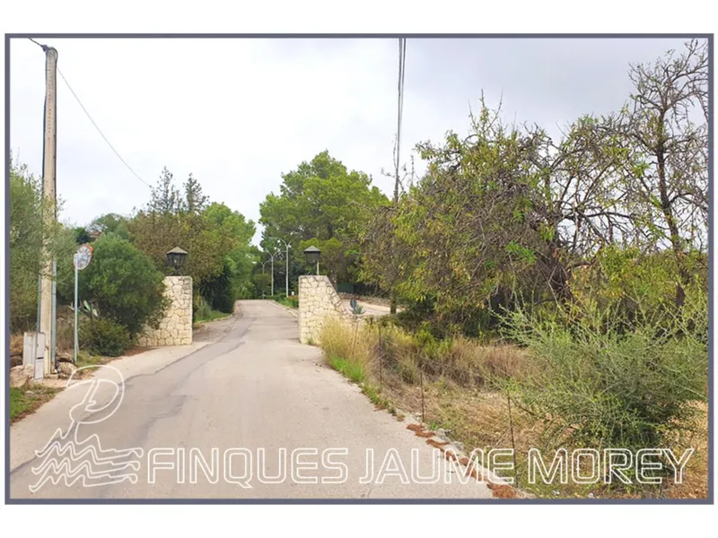 Plot — photo 10