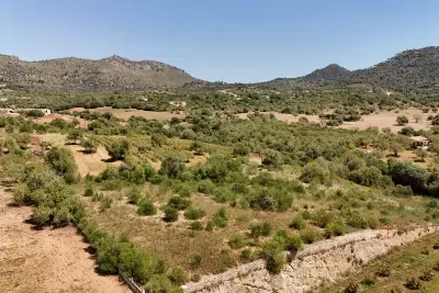 Rustic plot in Sant Llorenç — photo 1
