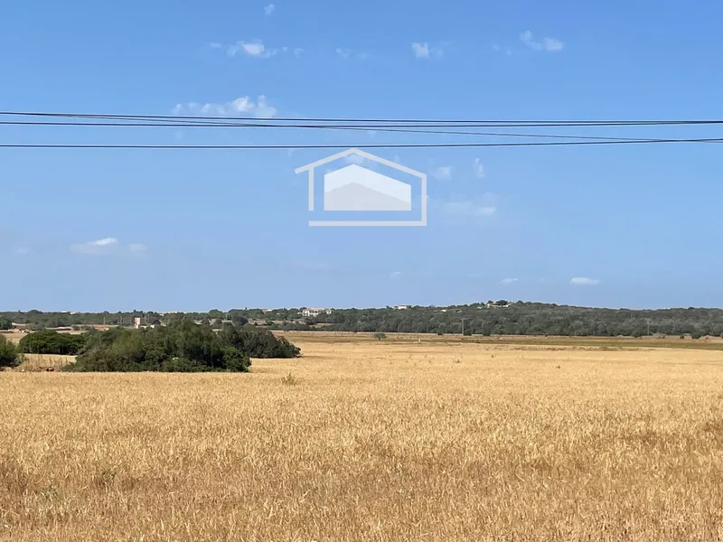 Buildable rustic plot of 16,237 m² in Ses Salines with approved project — photo 4