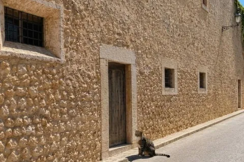 Villa in Binissalem, Mallorca — photo 7