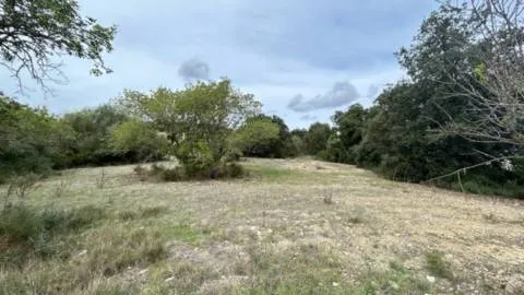 Plot — photo 8