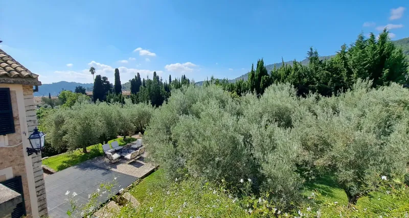 Property in Alaró with 9 bedrooms — photo 4