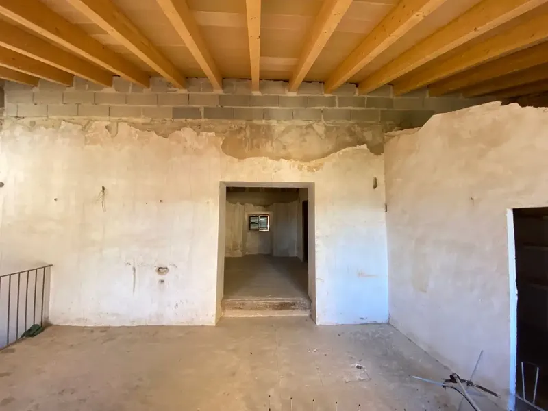 Investment Opportunity — photo 5