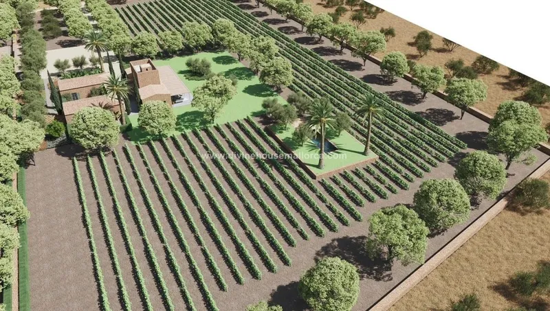 Exclusive new property in Es Trenc — photo 5