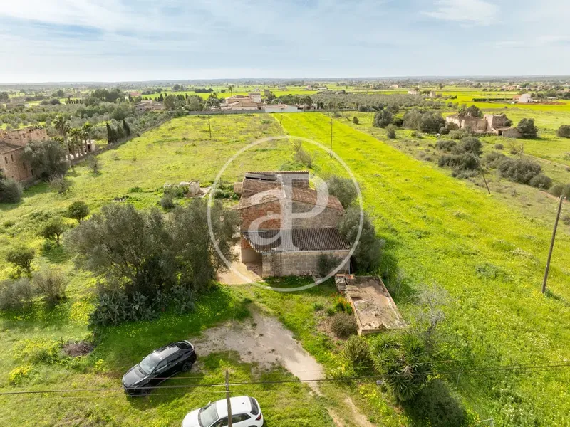 Farm house in Campos, Mallorca — photo 3
