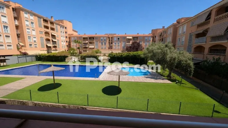 Apartment in Plaza de Toros — photo 2
