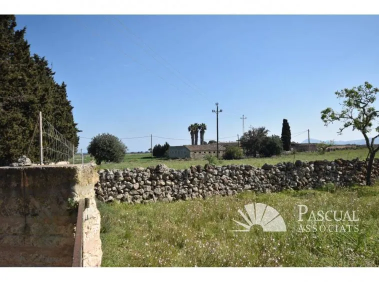 Finca with sea views and approved project in Santa Margalida — photo 7