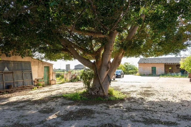 Rural or Farmhouse in Palma de Mallorca, Province of Balearic Islands — photo 3