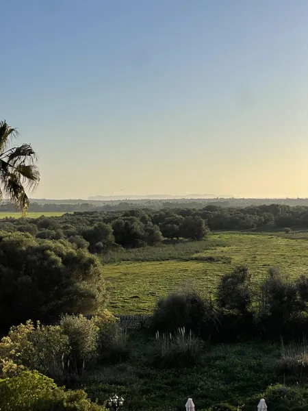 Investment Opportunity: Agrotourism between Ses Salines and Santanyí — photo 4