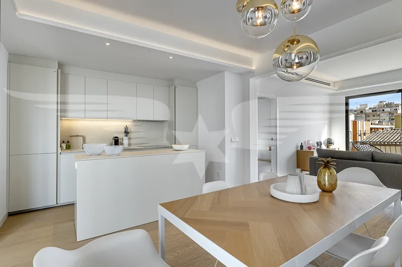Top furnished penthouse with private roof terrace — photo 3