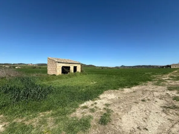 Buildable plot with shed in Montuiri — photo 1