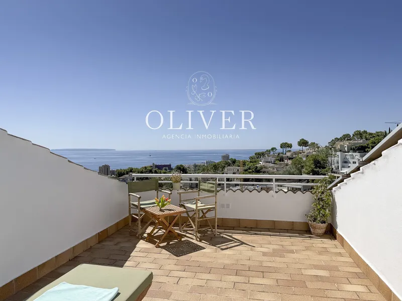 Triplex penthouse in Cas Català — photo 1
