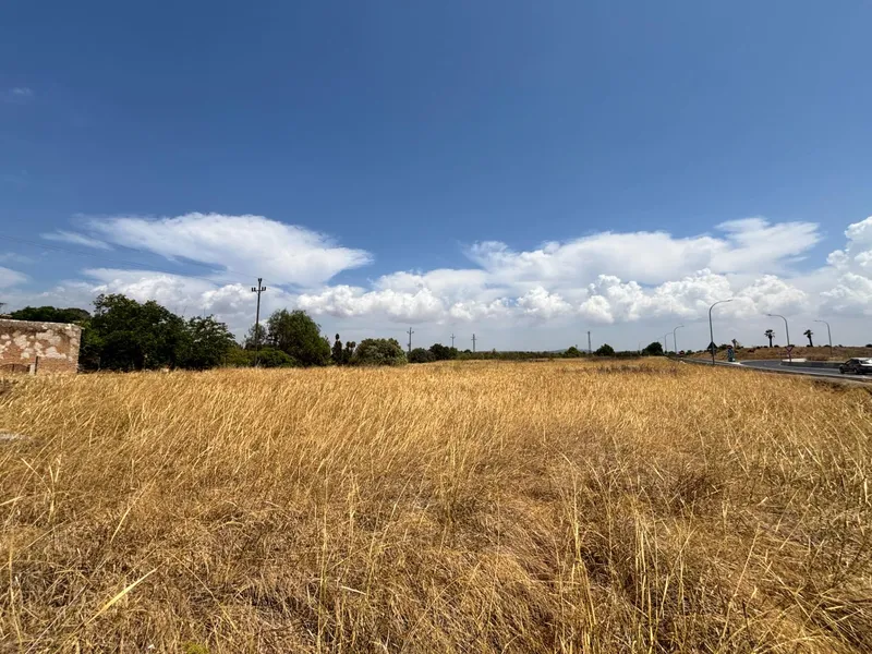 Buildable plot in Pla de na Tesa, Marratxí — photo 4