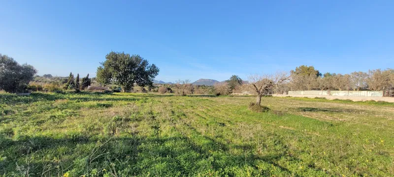 Spacious plot (7,083 m²) in Llucmajor – pure nature! — photo 4