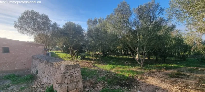 Beautiful finca in Mallorcan style: tradition meets luxury — photo 12