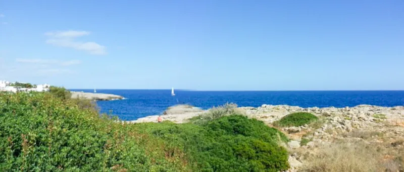 Double building plot on the first sea line in Cala d'Or — photo 6
