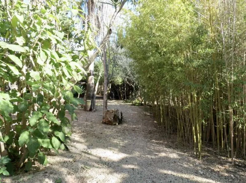 Finca with 6 bedrooms, 3 guest houses and holiday rental license, near Llucmajor — photo 10