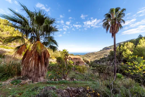 Deià, large rustic estate in the mountains a few minutes from Deià — photo 12