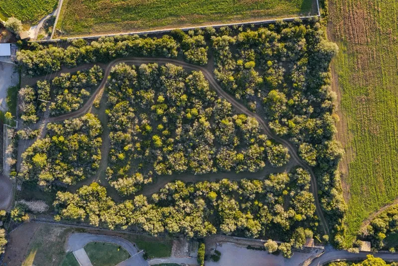 Plot for sale in Alcudia — photo 6