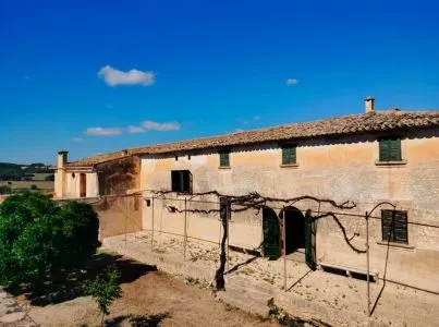 Rustic land - Palma de Mallorca (La Soledad Norte), built surface 1967 m², plot surface 546660 m², 9... — photo 1
