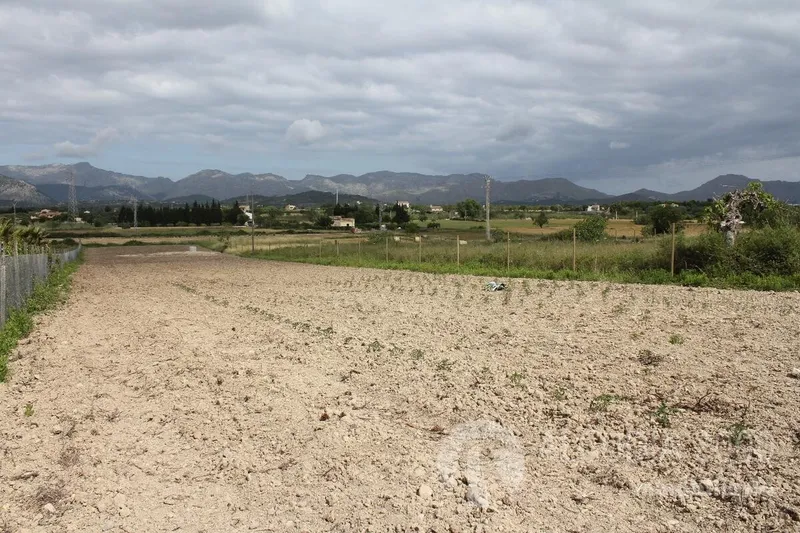 Land — photo 8