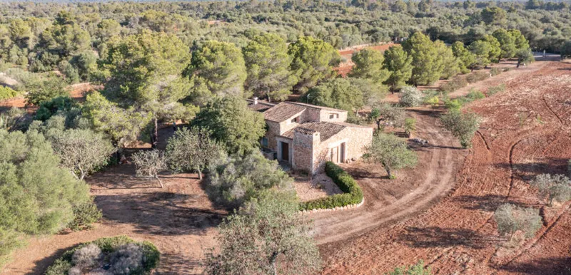 Country house for sale in Campos with land, orchard and own well — photo 3