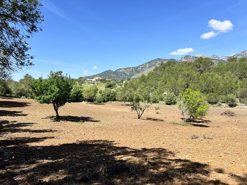 Building Plot for Sale in Selva, Mallorca, Baleares, Spain — photo 3