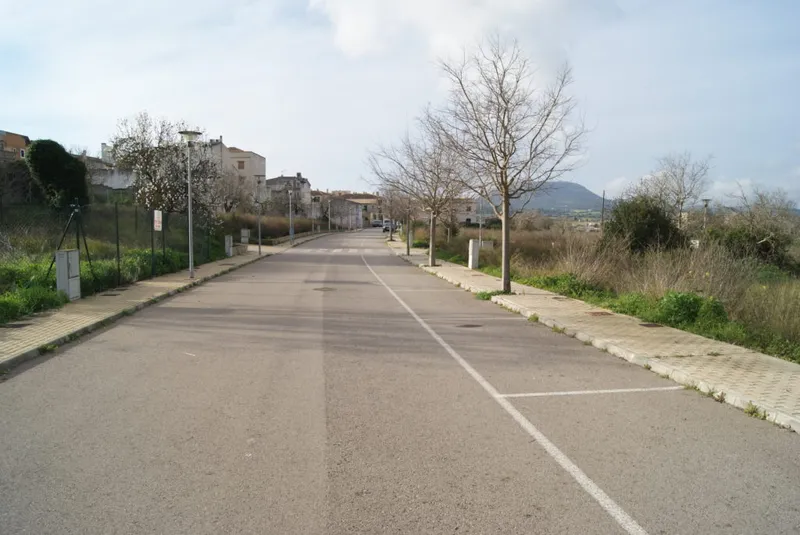 Plot in Montuiri — photo 4