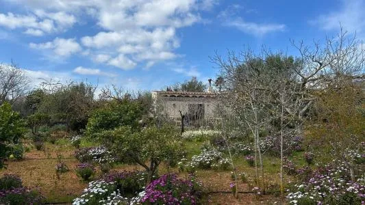 Rustic property - Alaró, Built Surface 61m², Plot Surface 2008m², 1 Bathroom — photo 10