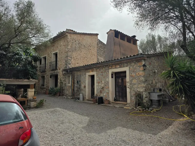 Beautiful rustic finca with pool in Pina — photo 7