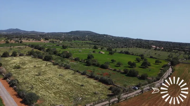 Country Estate for Sale in Santanyi of 18377 m2 — photo 9
