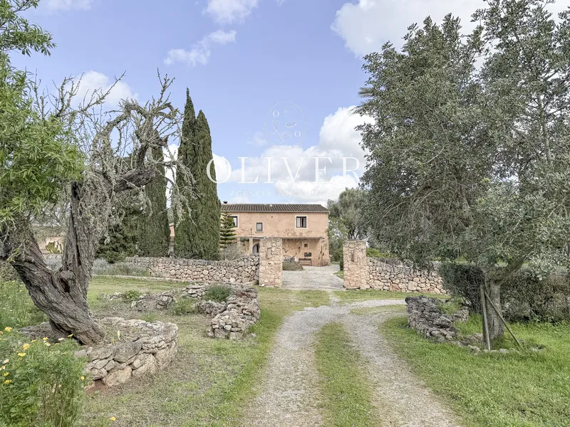 Rustic finca in Algaida — photo 5
