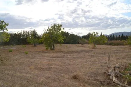 Rustic property - Campanet, Built Surface 20m², Plot Surface 4316m², 1 Room — photo 10